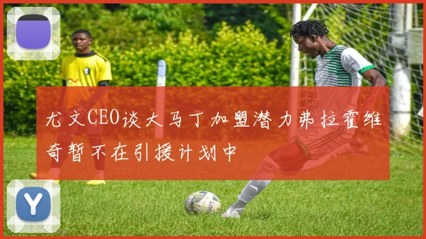尤文CEO谈大马丁加盟潜力弗拉霍维奇暂不在引援计划中