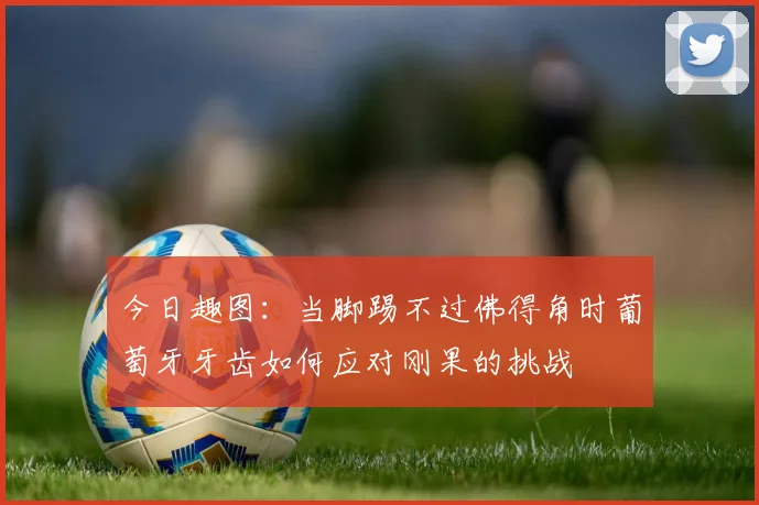 今日趣图：当脚踢不过佛得角时葡萄牙牙齿如何应对刚果的挑战